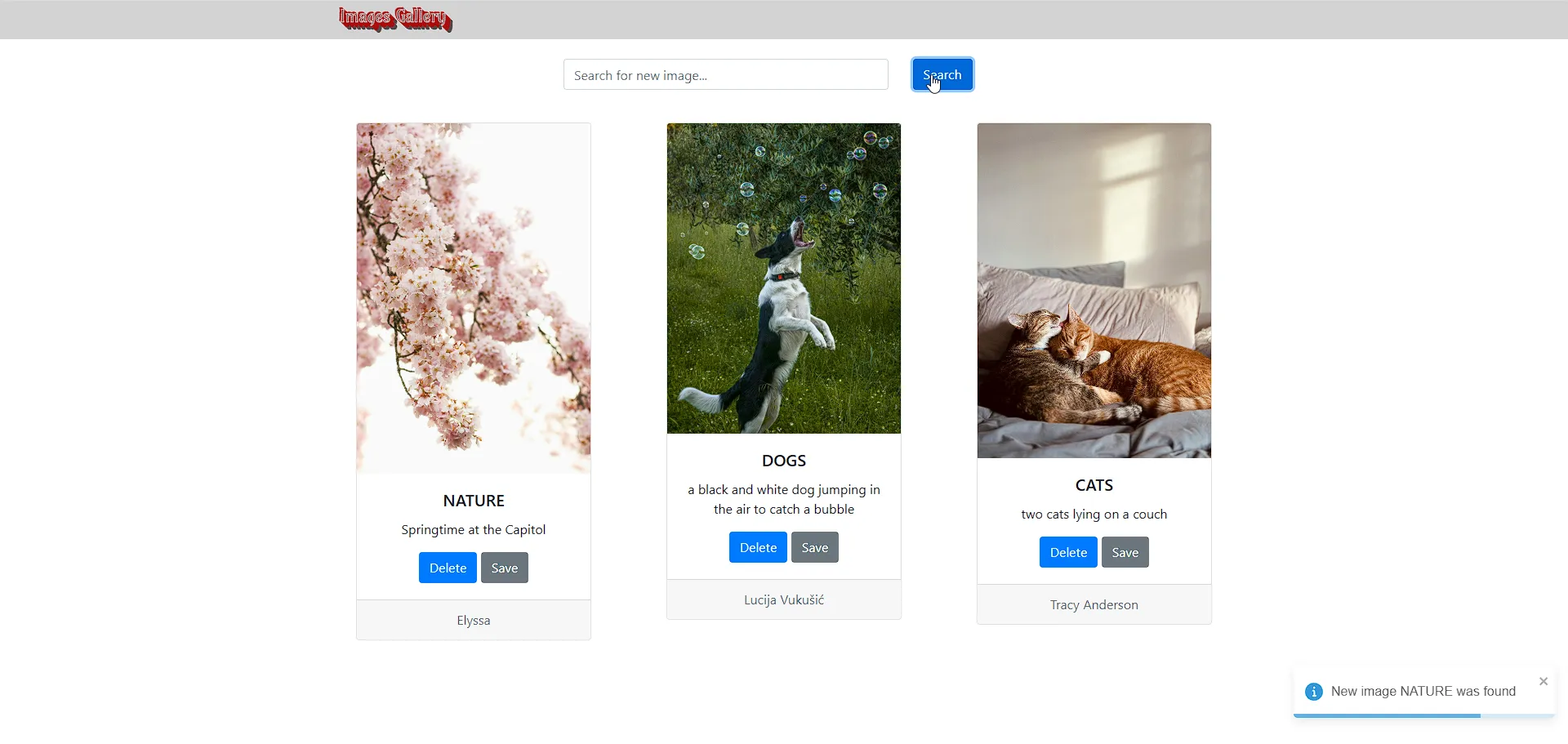 Preview of Images Gallery project